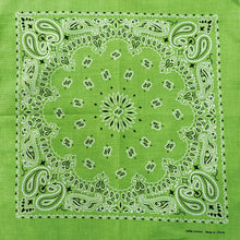 Load image into Gallery viewer, 100% Cotton Bandana - In Green Tie Dyed
