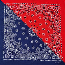 Load image into Gallery viewer, 100% Cotton Bandana - In Light Orange
