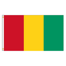 Load image into Gallery viewer, Guinea Flag - Available in 2 Sizes
